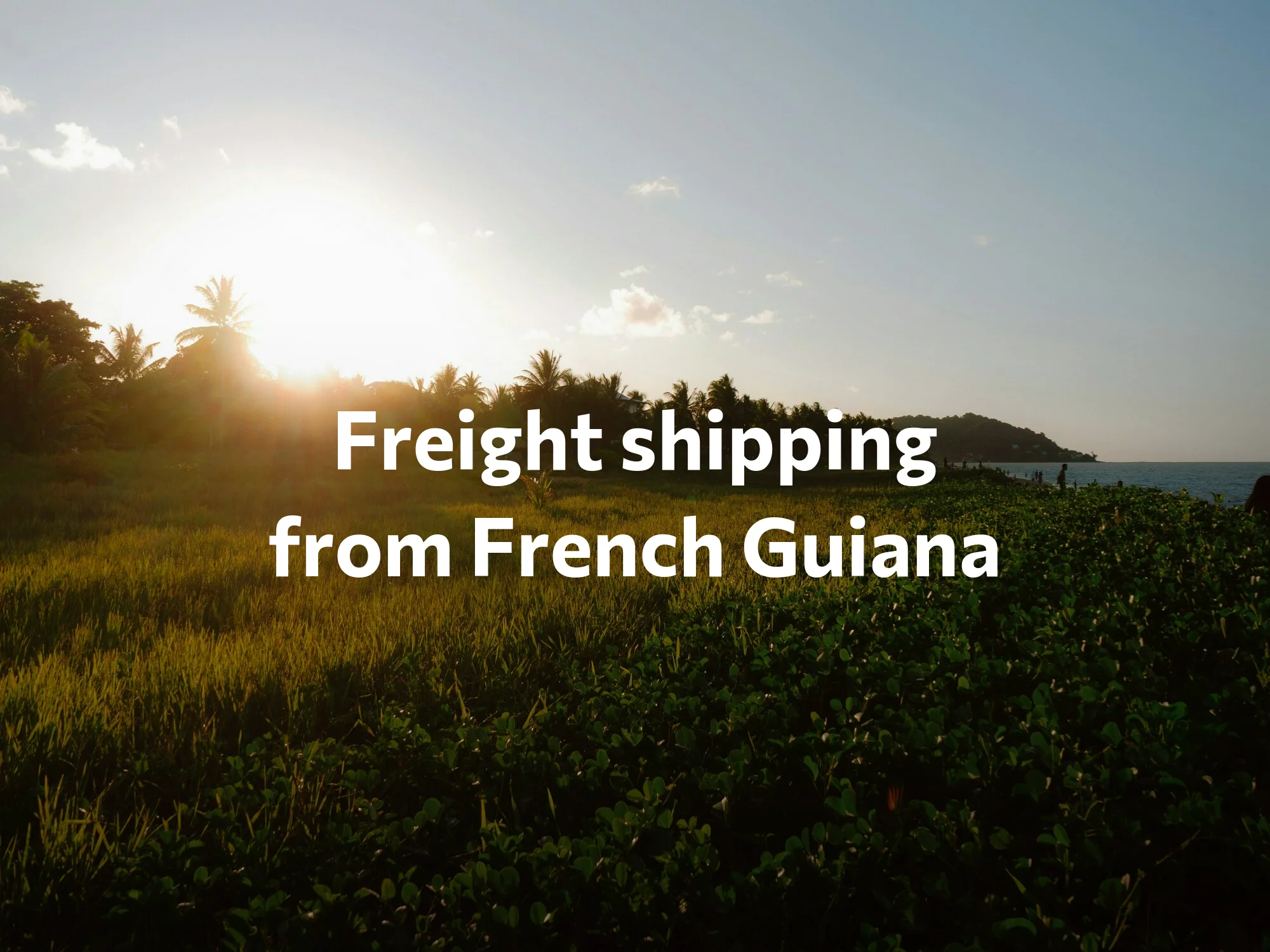 Shipping company from French Guiana, freight rates for FTL and LTL shipping in French Guiana