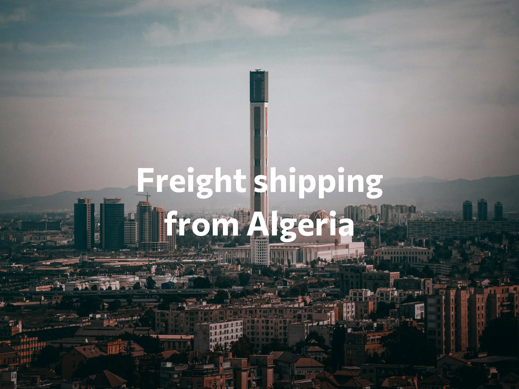 Shipping company from Algeria, freight rates for FTL and LTL shipping in Algeria