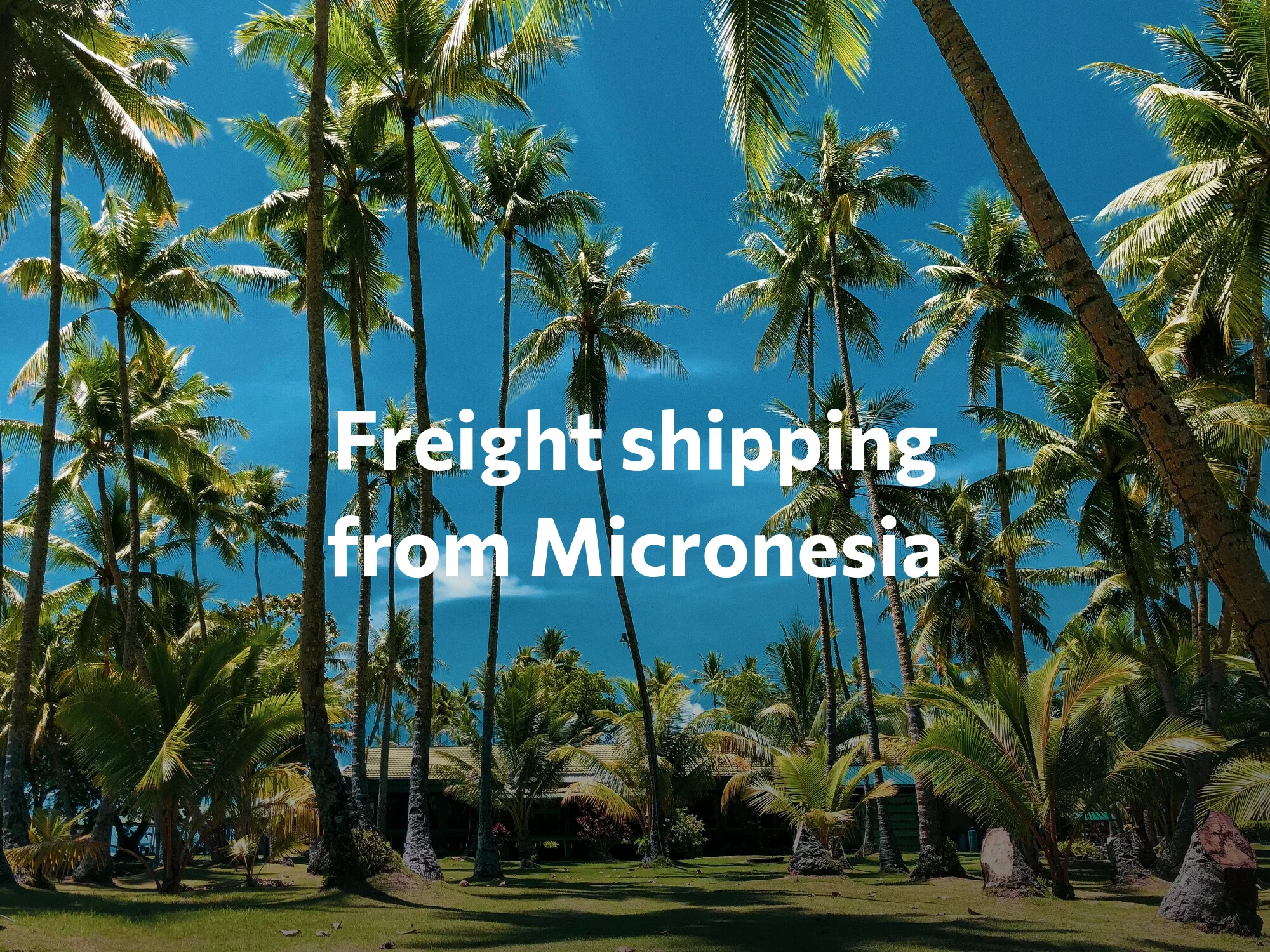 Shipping company from Micronesia, freight rates for FTL and LTL shipping in Micronesia