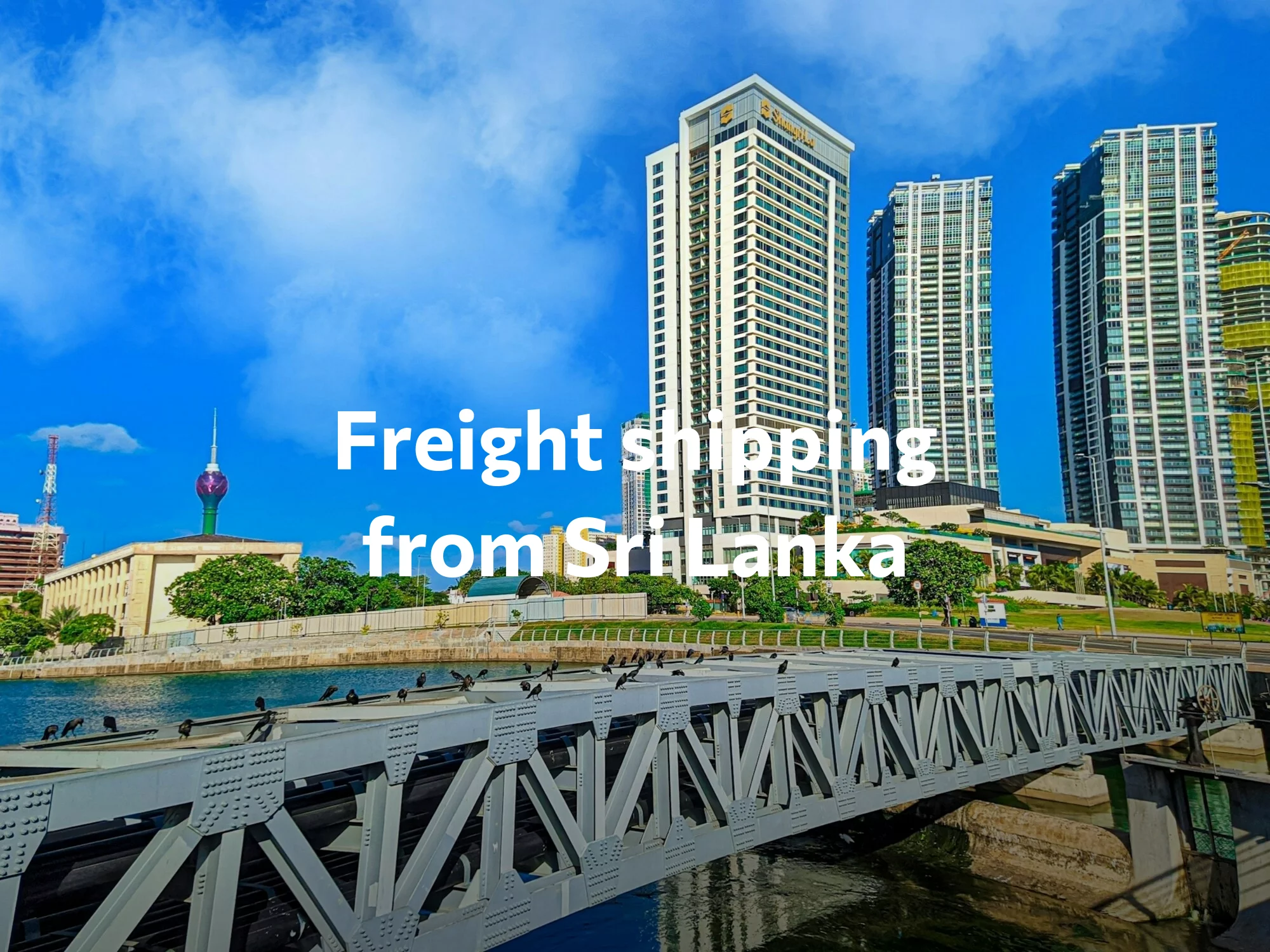 Shipping company from Sri Lanka, freight rates for FTL and LTL shipping in Sri Lanka