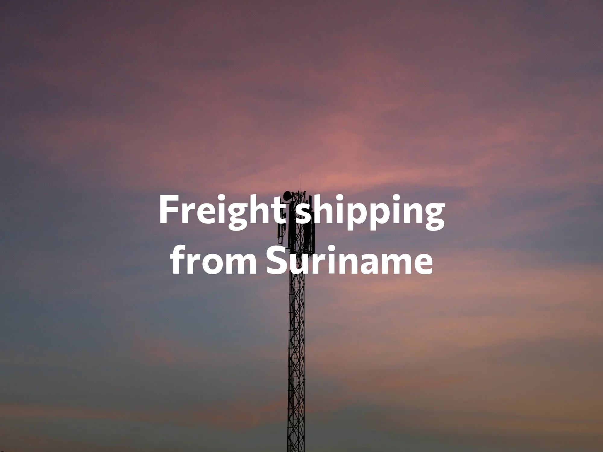 Shipping company from Suriname, freight rates for FTL and LTL shipping in Suriname