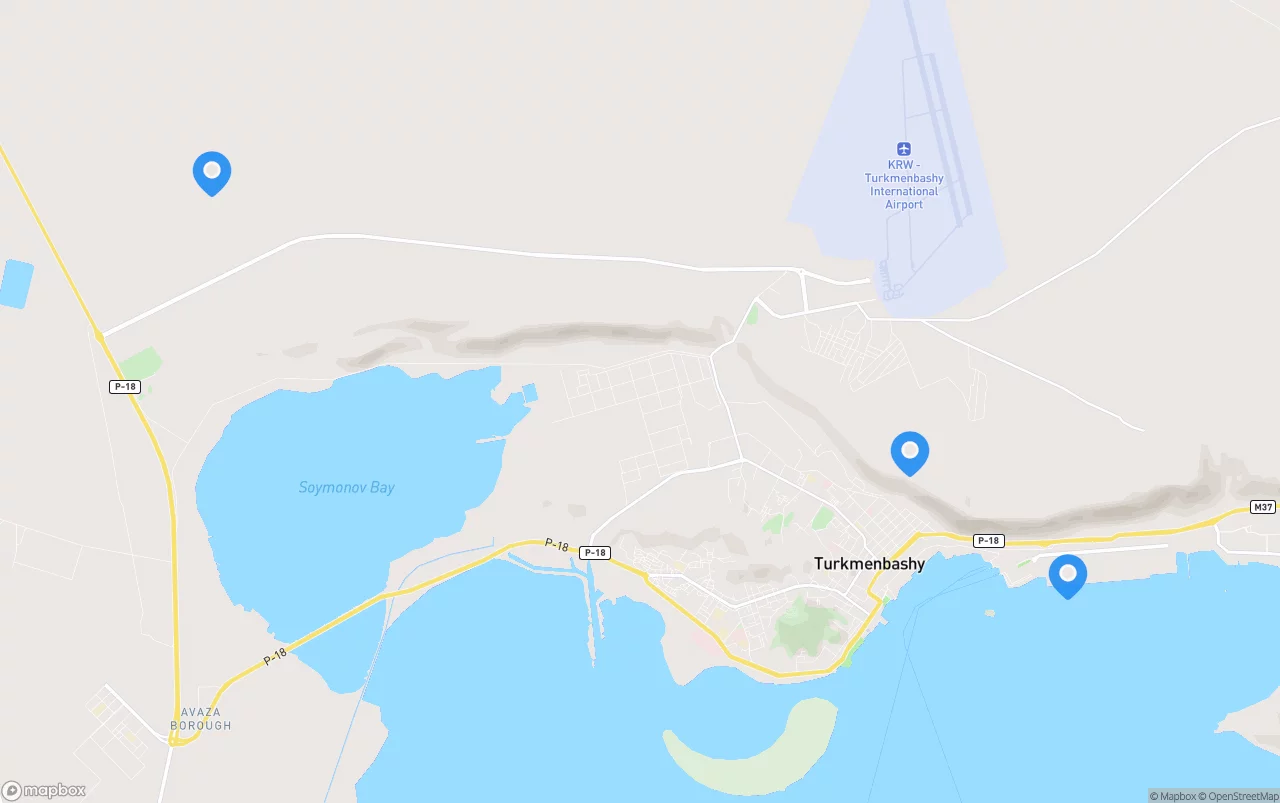 Shipping company from Turkmenistan