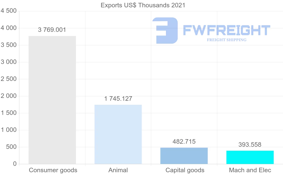 Shipping company from New Zealand to Maldives