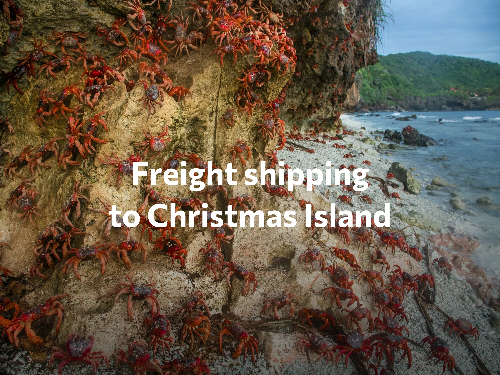 Shipping company to American Samoa, freight rates for FTL and LTL shipping in American Samoa