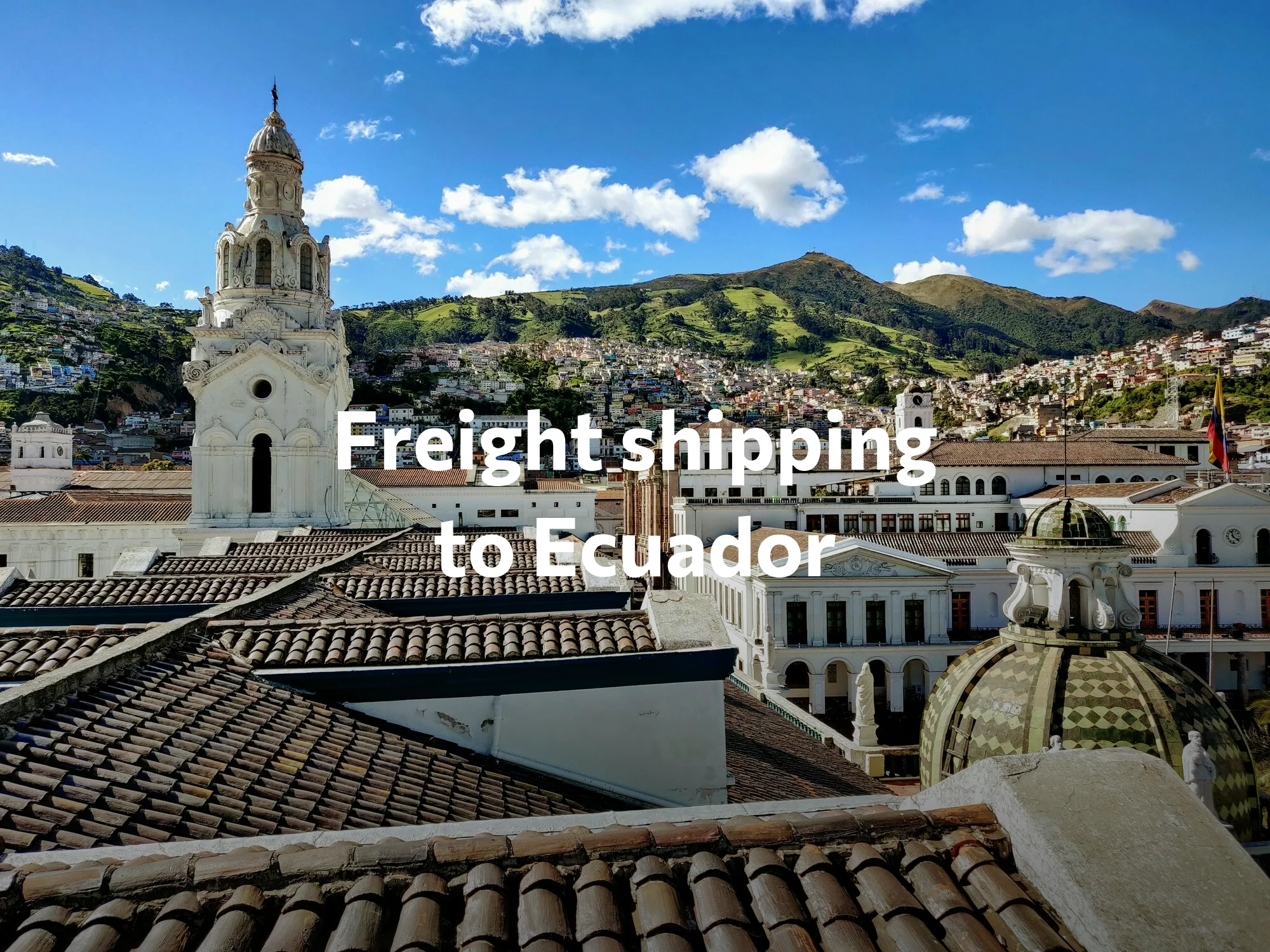 Shipping company to Algeria, freight rates for FTL and LTL shipping in Algeria